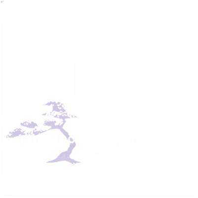 13 Photography